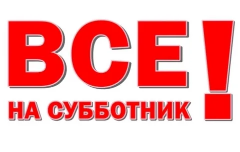 i (6).webp